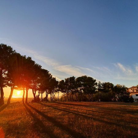 Poggio Active Hotel San Giovanni Rotondo Dış mekan fotoğraf